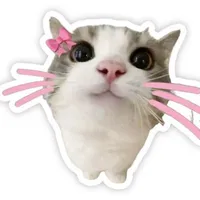BQ con chồng nhỏ cốt:)