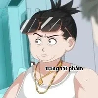 Trang Tất Phàm