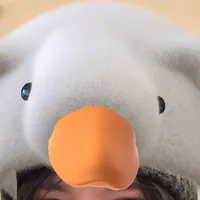 Bố mày cân tất