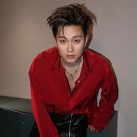 Dương Domic