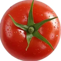 IT