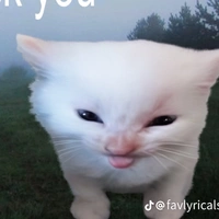 t/g lười