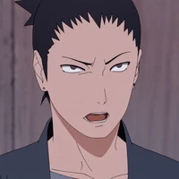 Nara Shikamaru(SS)