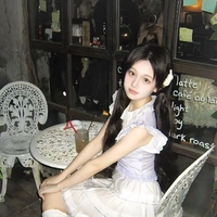 Cúc Phụng Chi