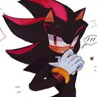 Shadow The Hedgehog