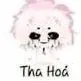 tha hóa