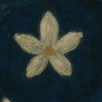 NVP Nữ