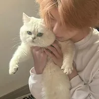Kisa - @CapdauKichay -