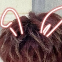 Trần Như Yến( bông)