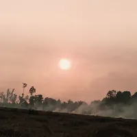 t/g Diệp