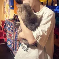 Tùng Anh