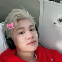 duck di- bông