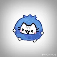 T/g⟨⟨Mizuki⟩⟩