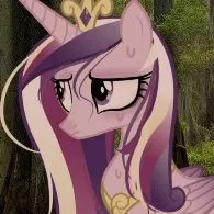 princess cadance