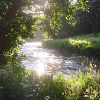 Tất cả (trừ ai thì trừ)