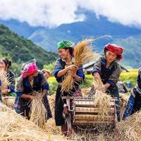 Dân làng
