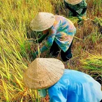 Người khác