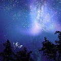 ám vệ của lãnh gia