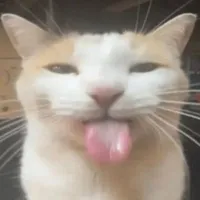 qdi chúc có tên là t