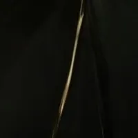 Zioles