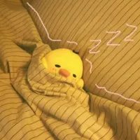 Vịt Lazy💤