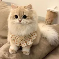 Mimi