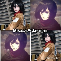 mikasa