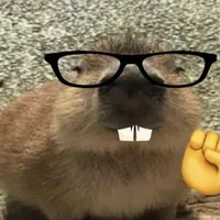T/g