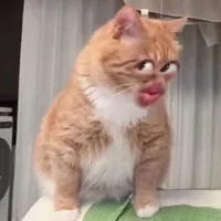 Tác Giả