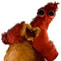 Chum chompkins