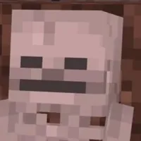 Skeleton