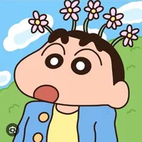 shinnn cteee