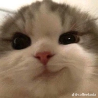 cutephomaique