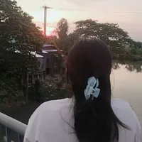 tác giả