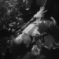 Nguyễn Thanh Pháp