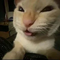 t/g mê bl