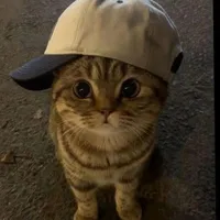 con tác giả xồn làm