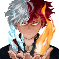 Shoto Todoroki