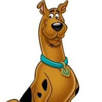 Scooby doo