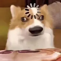 Tác giả bị khờ