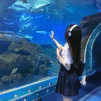 Huỳnh Diệu Thanh Vy