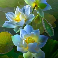 tg hay cọc:))
