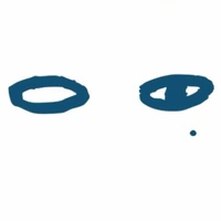 mắt