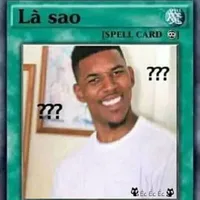 Tác giả là quả bí