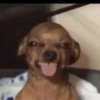 ai hỏi