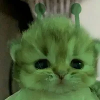 ray