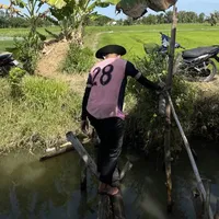 Năm Tấn - Ba Duy