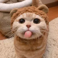 gakhongcanh aka ph💃🕺