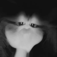 𝘔𝘪𝘯𝘹𝘪𝘯𝘩𝘺𝘦𝘶𝘶~
