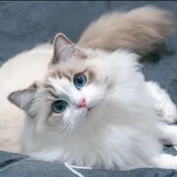 Miu